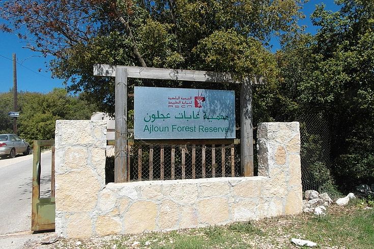 Ajloun Nature Reserve in Jordan